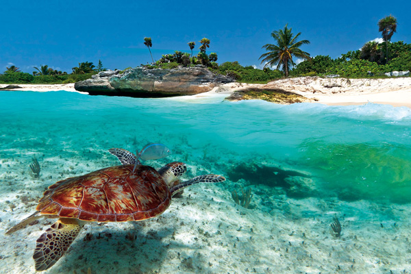 Shipping to Caribbean from USA